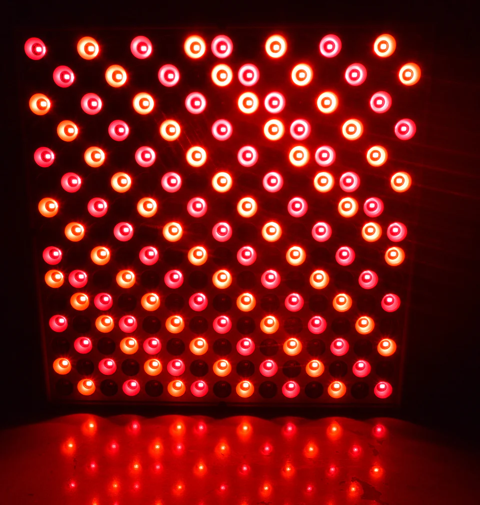 Rex NIR & Red LED Light Panel